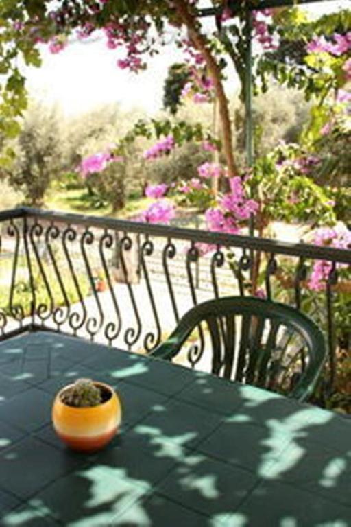 Apartments & Rooms M Petrovac Exterior foto